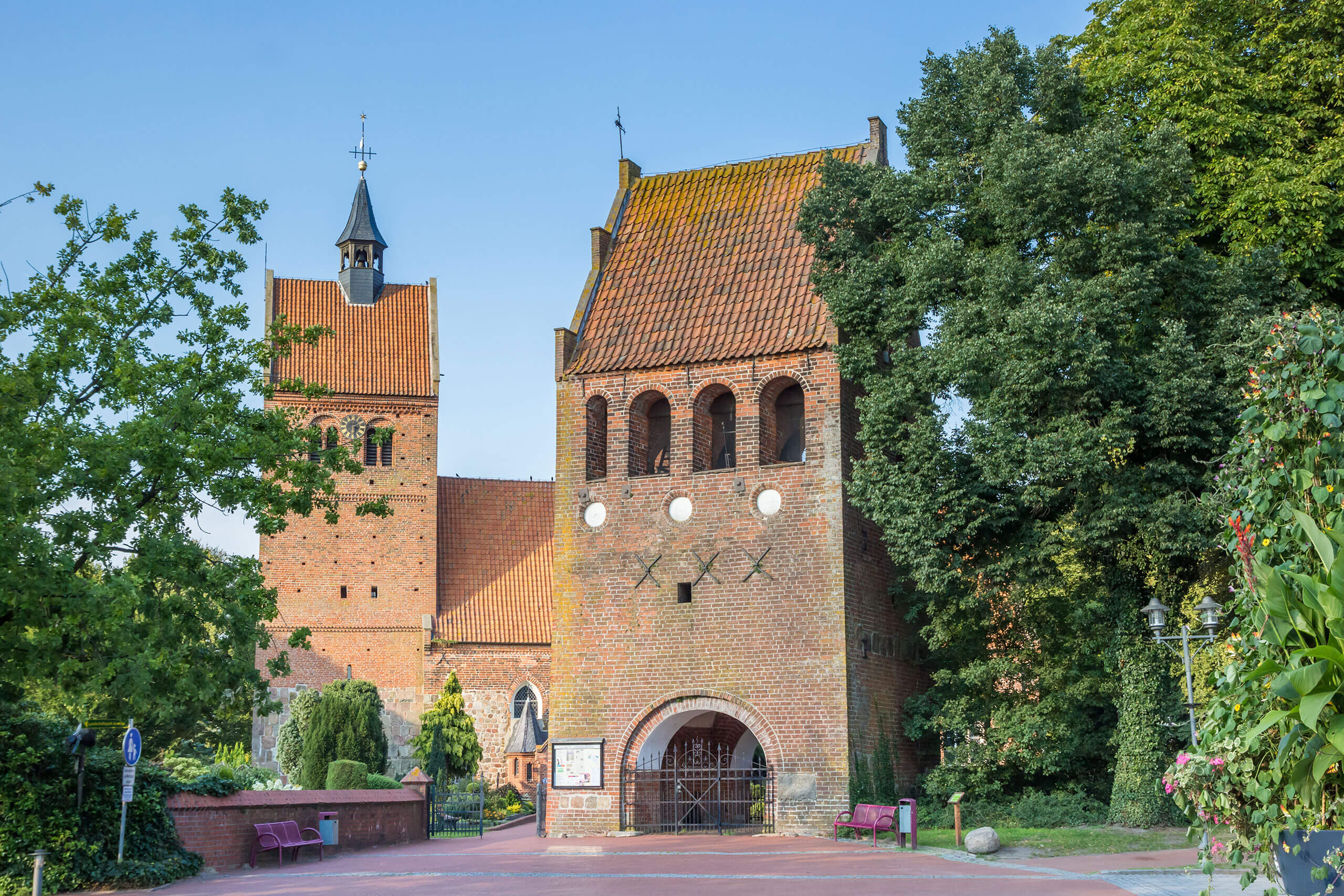 sedum dünger obi Dünger Sedum online kaufen – AboutGreen
