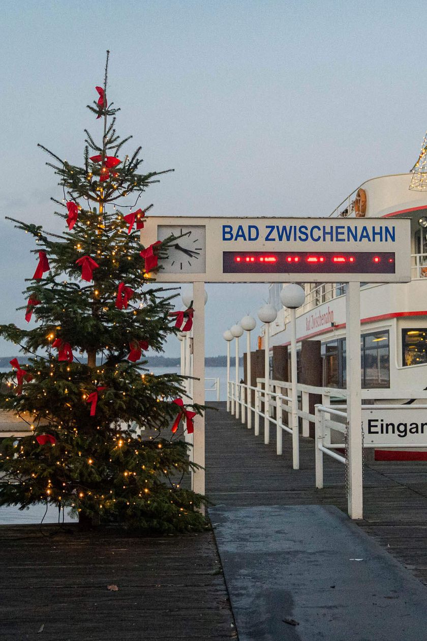 Eine beleuchtete und mit roten Schleifen geschmückte Tanne auf dem Anleger im Kurpark. Daneben ein beleuchtetes Schiff der Weissen Flotte.