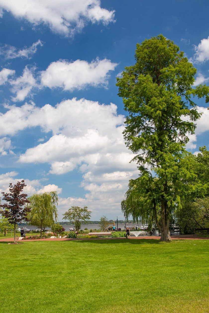 Grüne Wiese im Kurpark - im Hintergrund Bäume und das Zwischenahner Meer.
