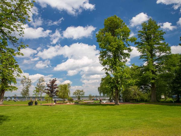 Grüne Wiese im Kurpark - im Hintergrund Bäume und das Zwischenahner Meer.
