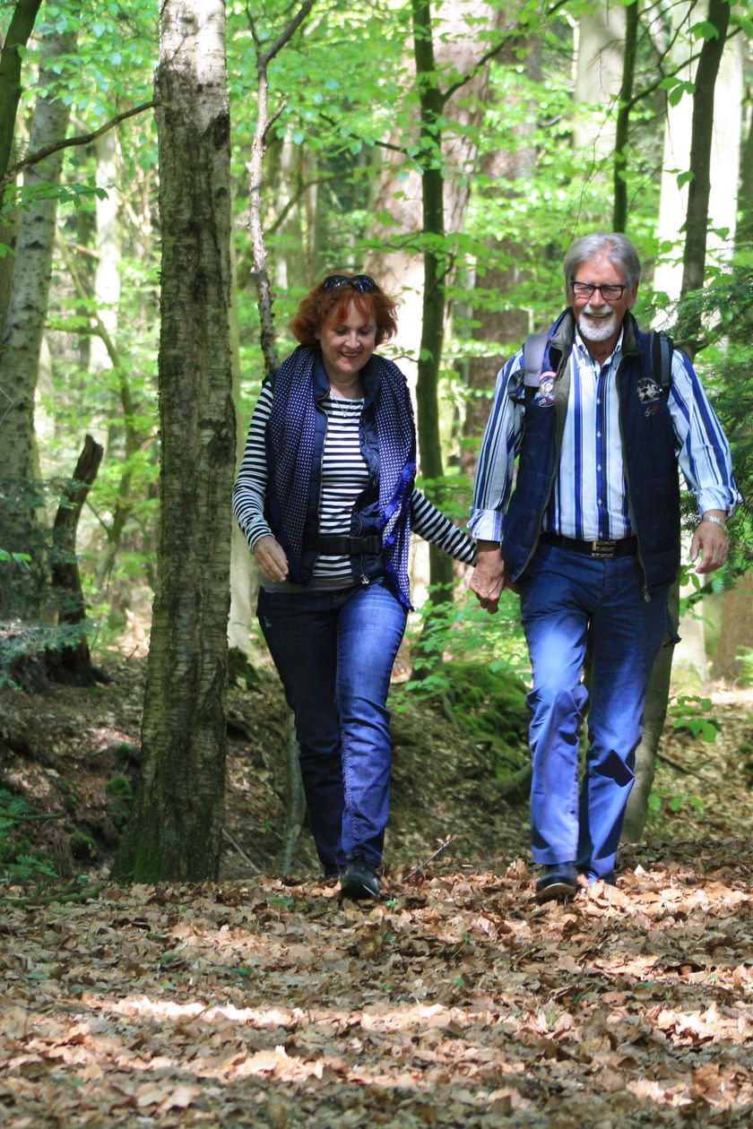 Zwei Senioren spazieren durch einen Wald bei sommerlichen Wetter.