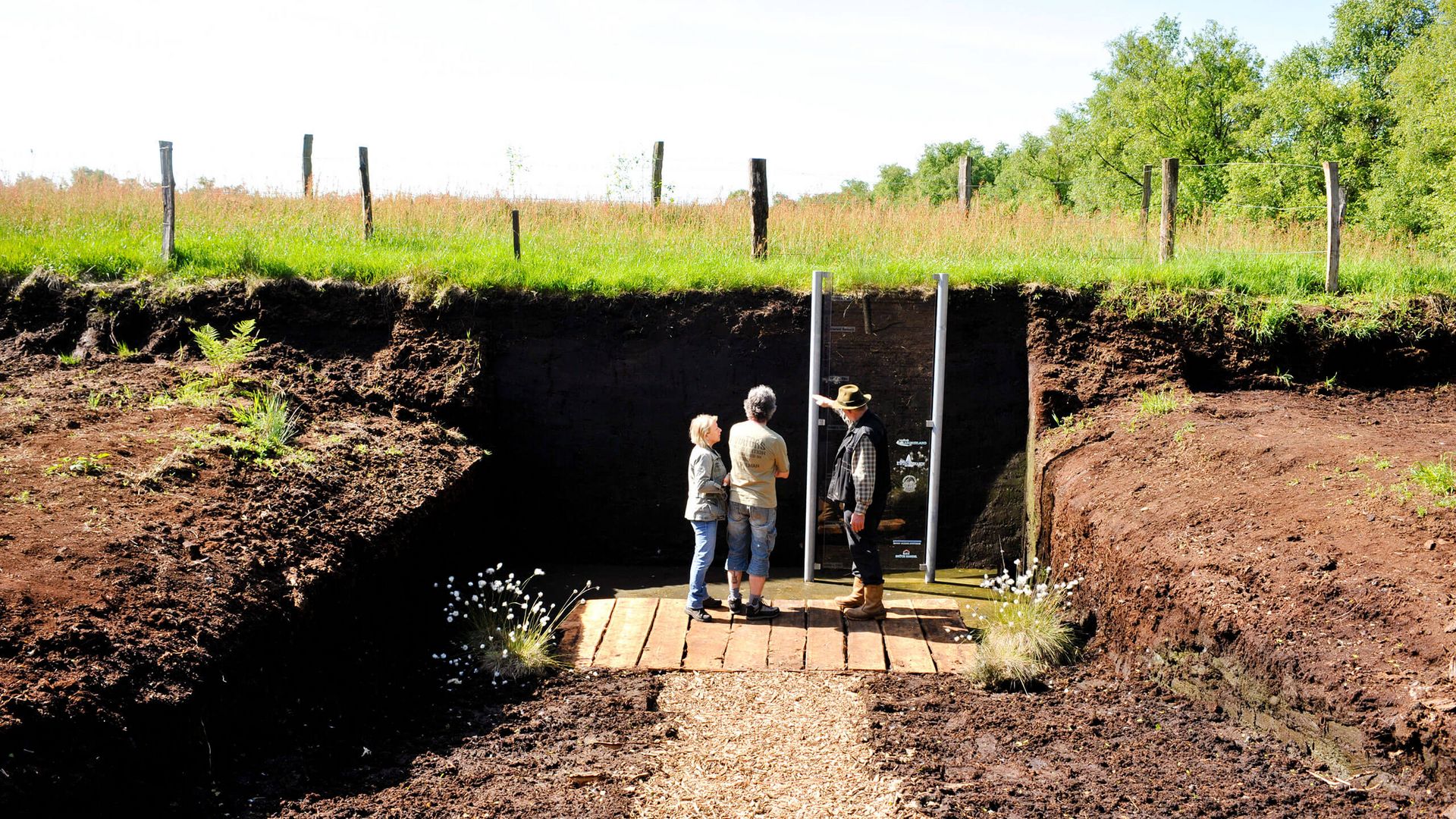 Besucher begutachten eine Moorprofilwand in einer torfigen, naturnahen Landschaft.