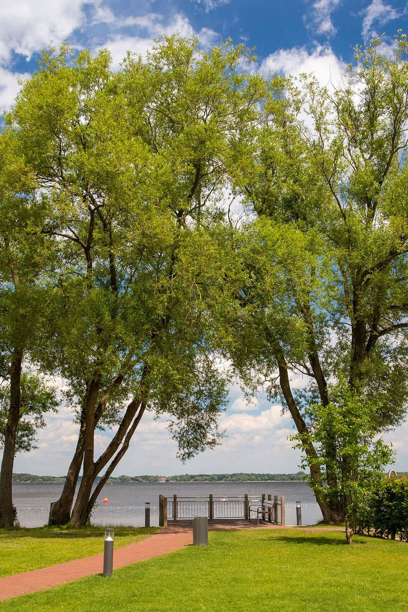 Zuwegung Badestelle Zwischenahner Meer im Kurpark - davor Aussichtsplattform und drei Bäume.