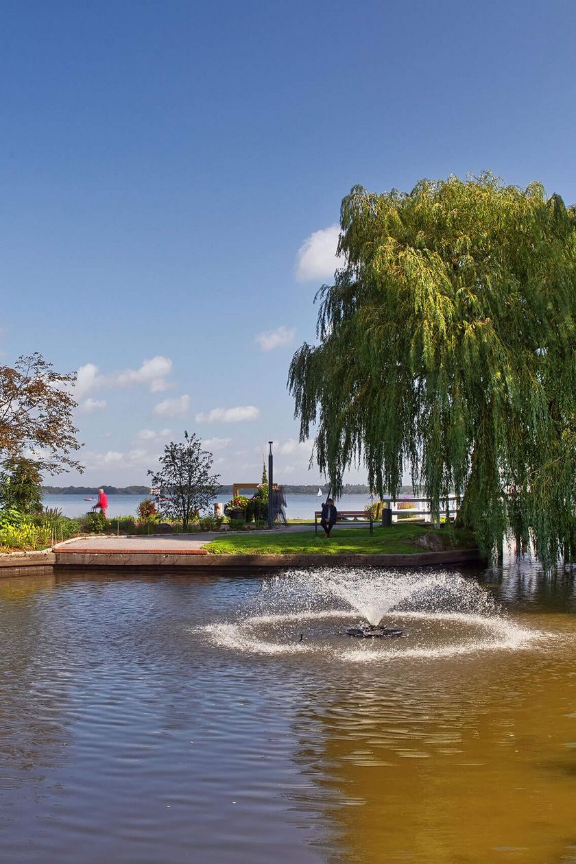 Springbrunnen Zwischenahner Meer im Kurpark - im Hintergrund Uferpromenade und Pflanzen und Bäume.