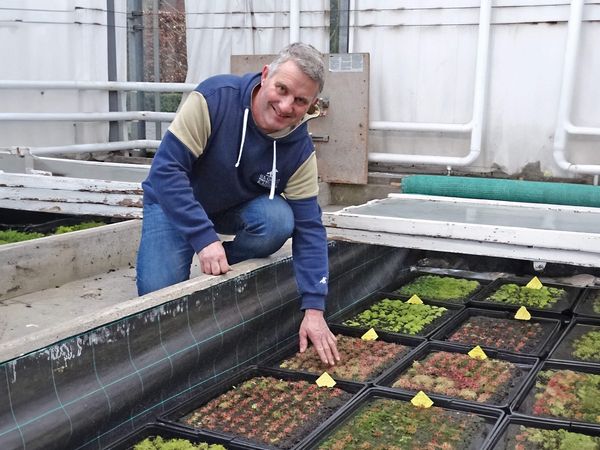 Holger Konrad kniet neben rechteckigen Pflanzbehältern mit verschiedenen Wasser- und Moorpflanzen in einem Gewächshaus.